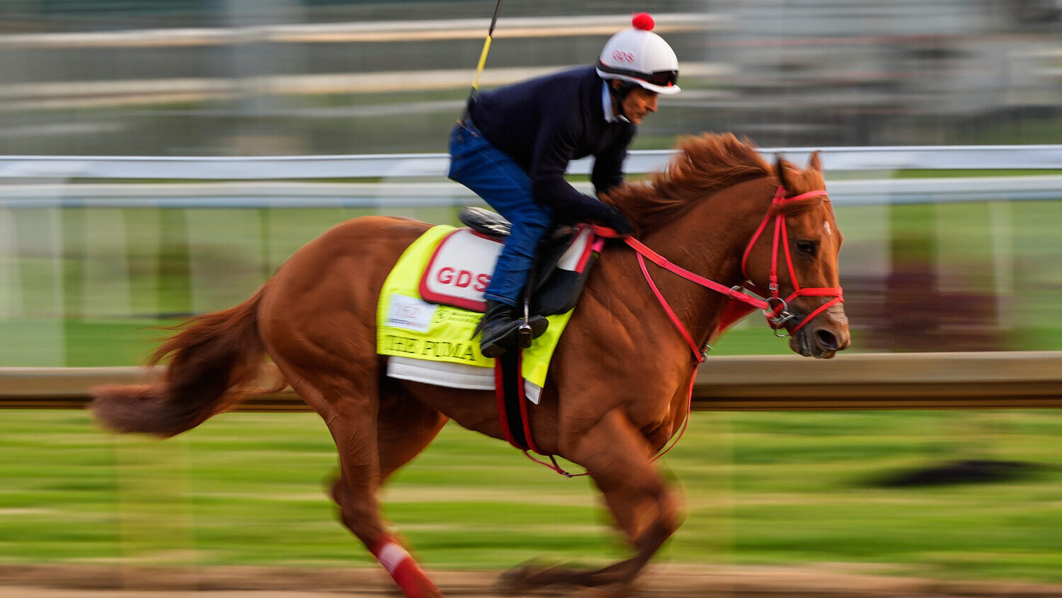 Kentucky Derby entrant The Puma works out at Churchill Downs Friday, May 1, 2026, in Louisville, Ky...